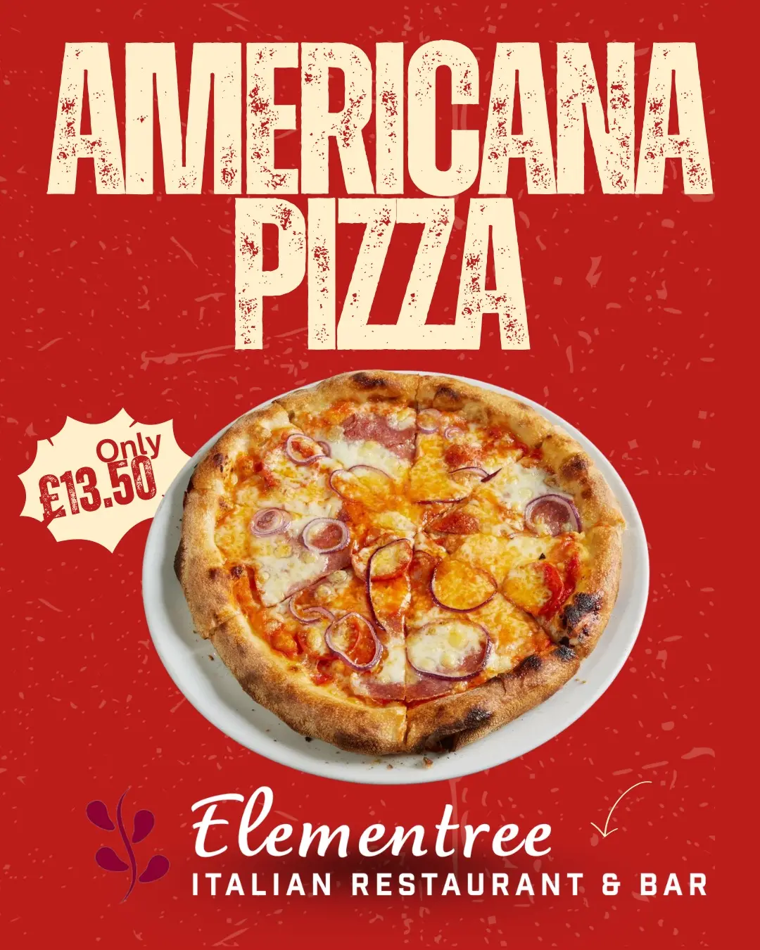 Hand-crafted pizza detail 1