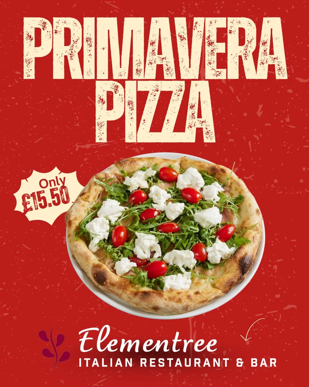 Hand-crafted pizza detail 2